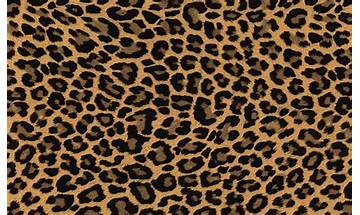 Animal Print Wallpapers for Android - Download the APK from Habererciyes